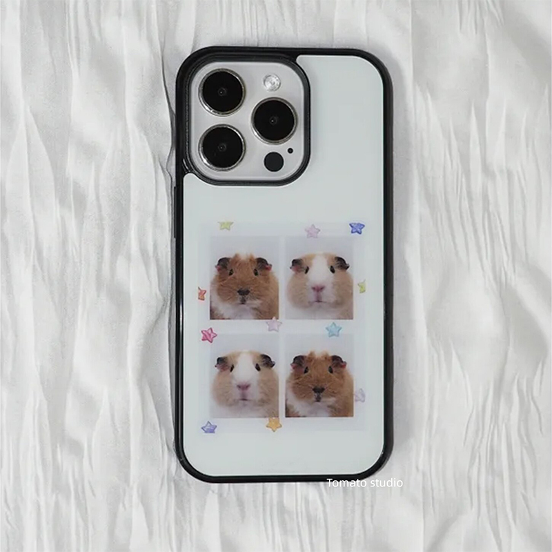 Kore Ins Gine Domuzu Başlı Çık - Phone Accessories Quotes incelemesi ve fiyatı