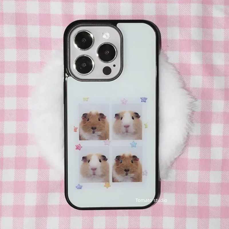 Kore Ins Gine Domuzu Başlı Çık - Phone Accessories Quotes incelemesi ve fiyatı